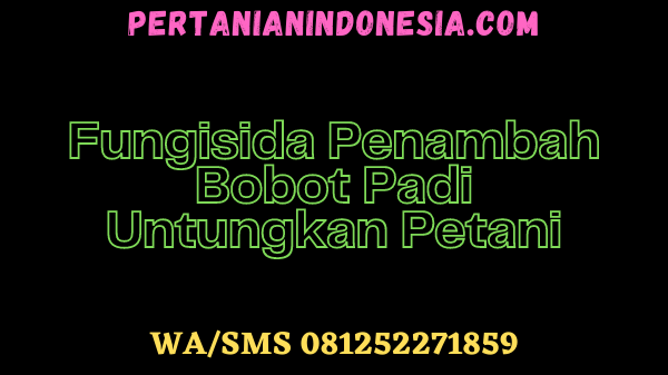 Fungisida Penambah Bobot Padi Untungkan Petani